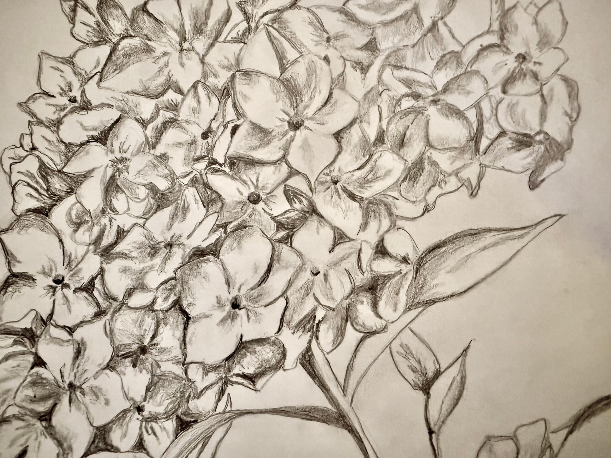 On Slowing Down & Looking Closely