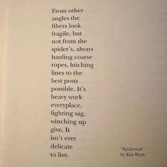 Photo of the poem "Spiderweb" by Kay Ryan