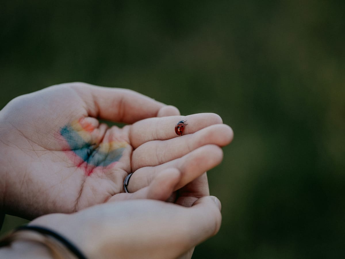 What To Do With Your Soft Heart