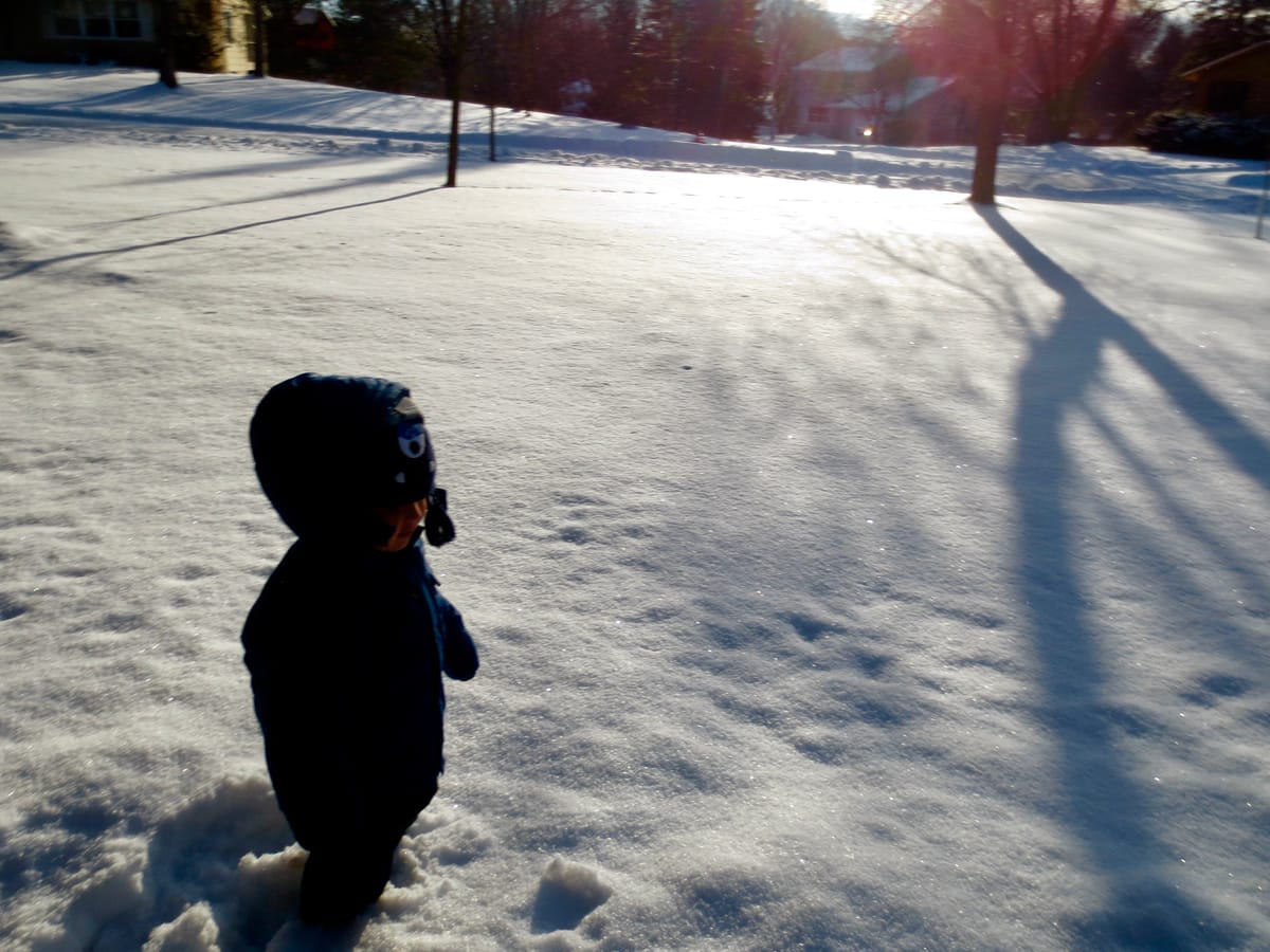 A toddler in a winter coat with the hood pulled up, standing in the snow with trees and houses in the background