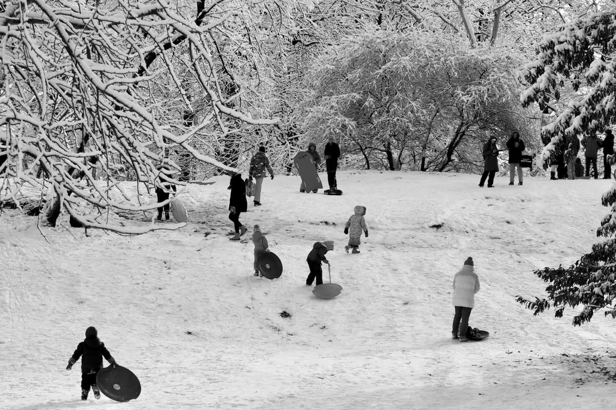 Black and white photo of children pulling sleds up a snowy hill where adults stand surrounded by snow covered branches