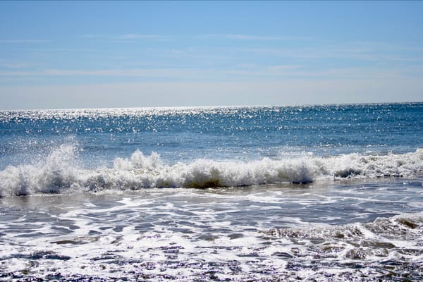 What We Need When We're Drowning