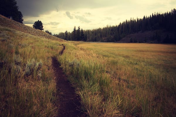 Following Desire Lines