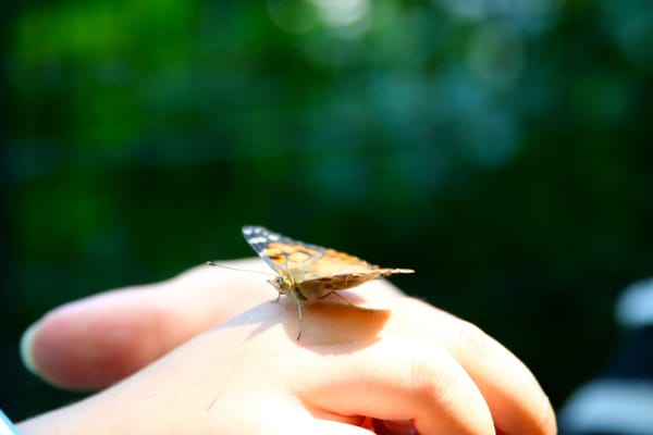 Reflections on Care