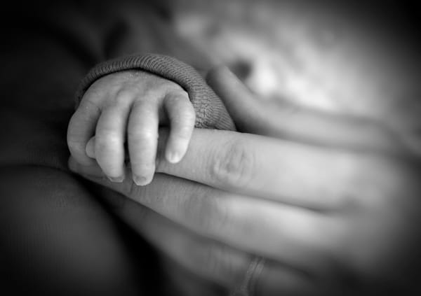 We Were Supposed to Be Mothering the World